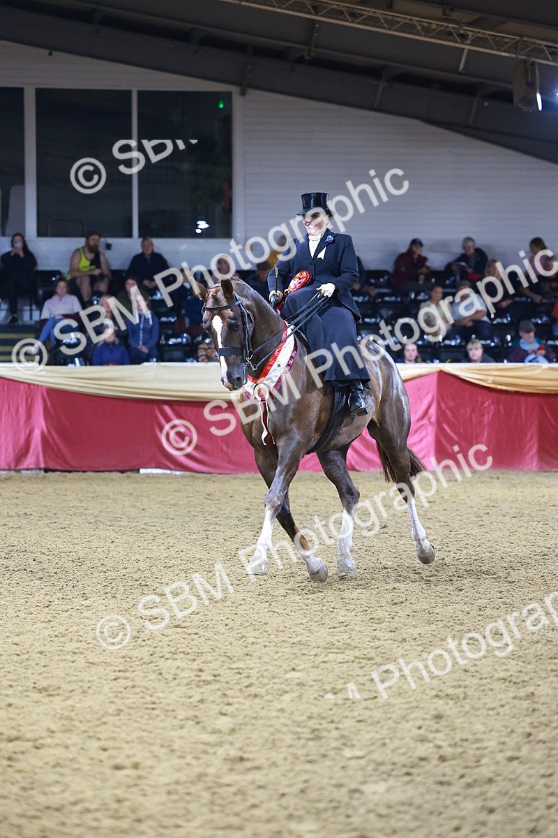 SBM_15471 - Class Q - Ridden Horse Champ
