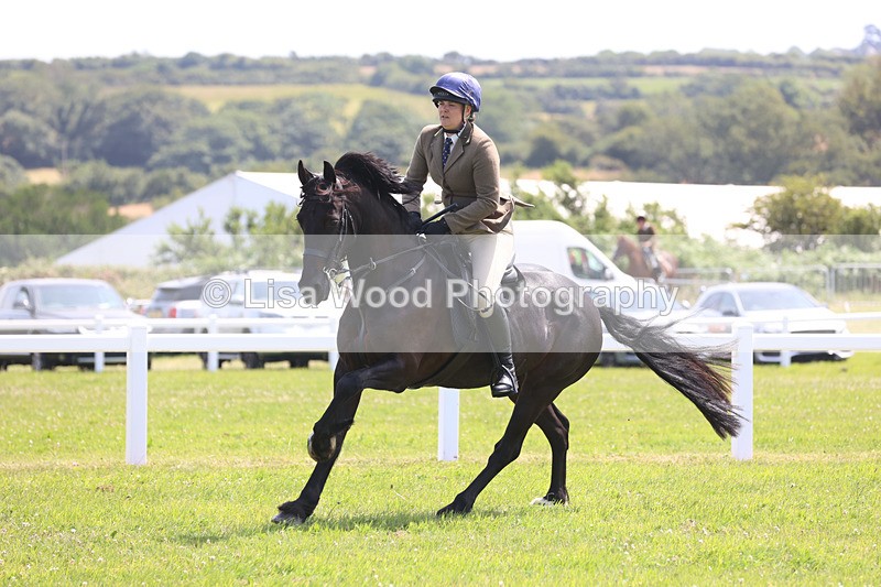 JPP_2544 - Class 21: Working Hunter 60cm