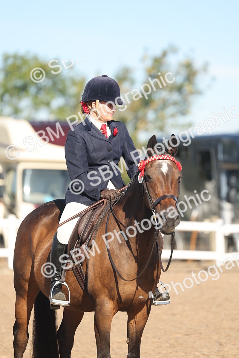 SBM_12221 - Class 303 - Ridden Pure Bred Horse Pony