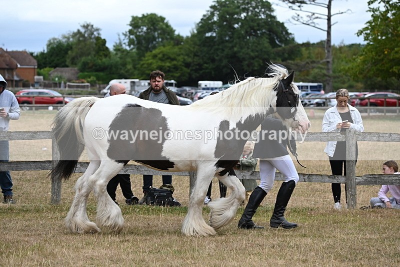 WJ6_8352 - Class 10 Coloured in Hand