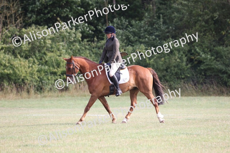 20250731-0003 - Class 2 - Prelim 3