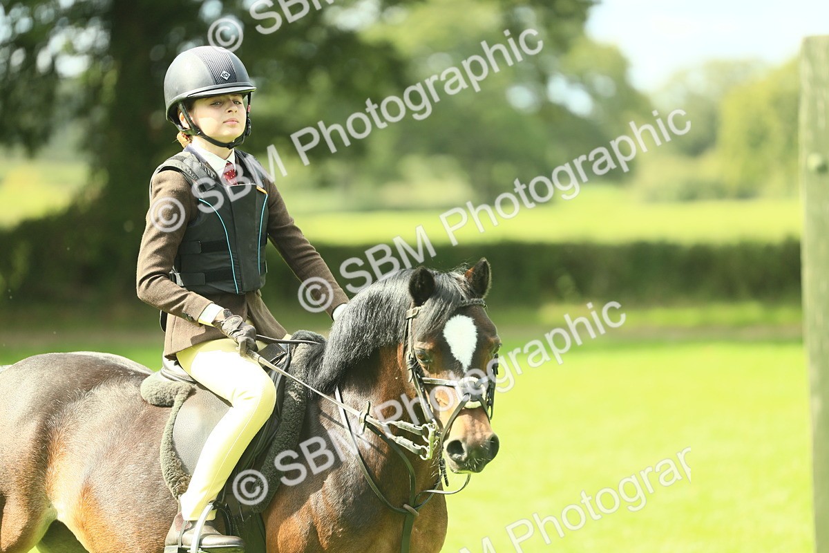 SBM_42743 - S30 - M&M Working hunter Pony