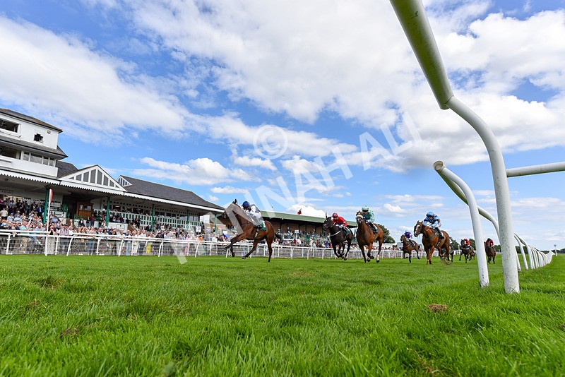 060824-Race 4-One Of Our Own-2 - Race 4