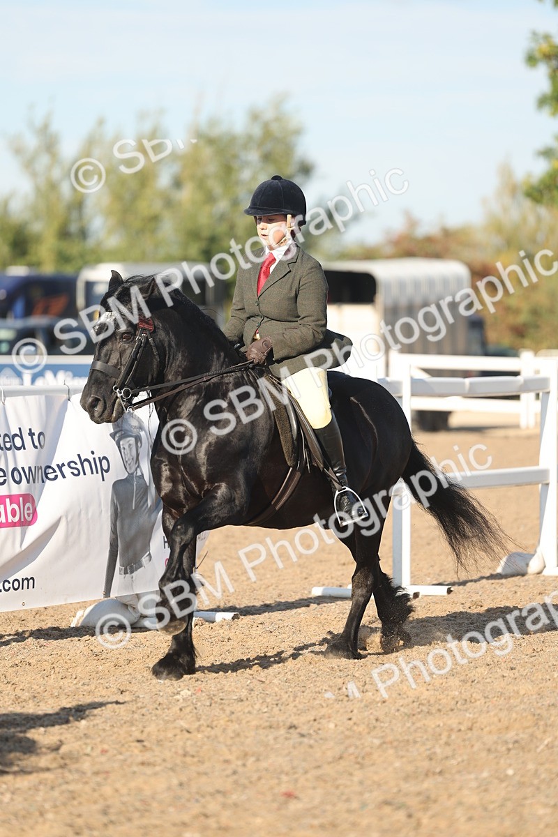SBM_11037 - Class 302 - Ridden M&M Large Breeds