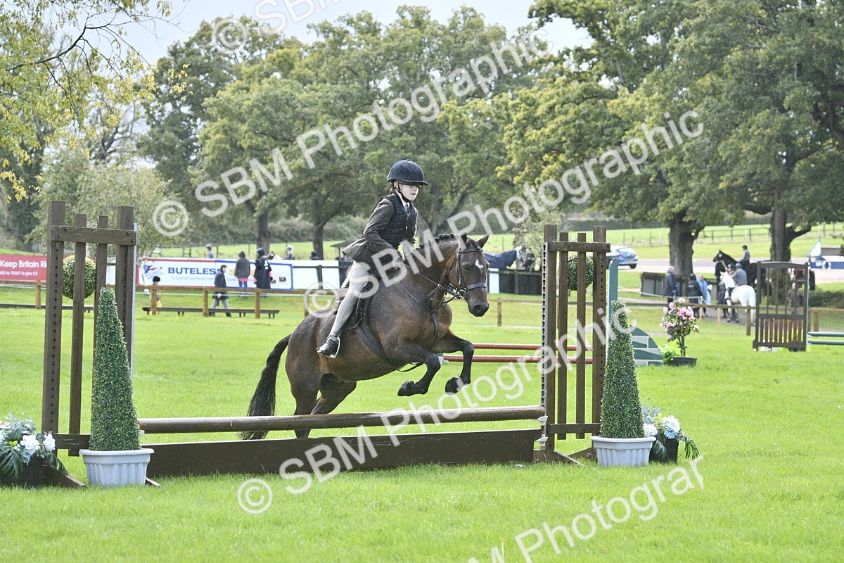SBM_37179 - S31 - Novice & Newcomer Working Hunter Pony
