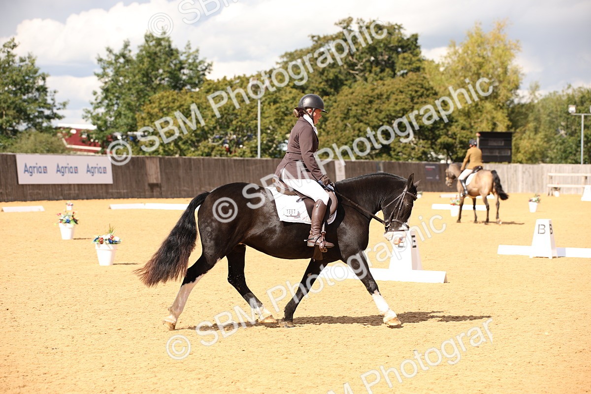 SBM_08879 - D8 Small Tour Championship Prelim 7