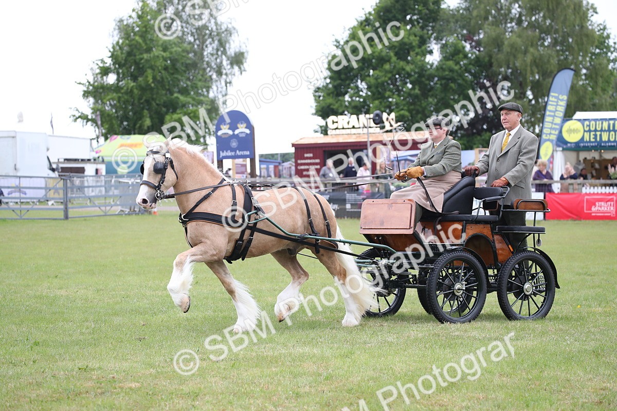 SBM_05640 - Class 12-15 - HOYS Private Driving