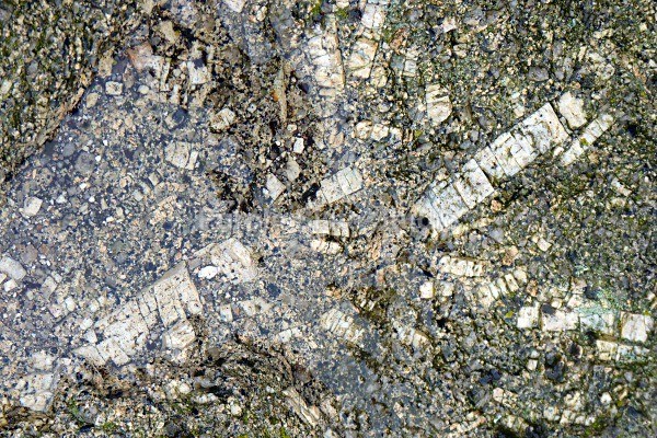 Dartmoor Granite - Landscapes & Seascapes