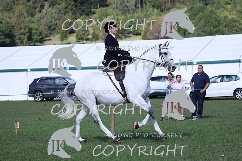 APP_3102 - Class 11 Veterans ridden