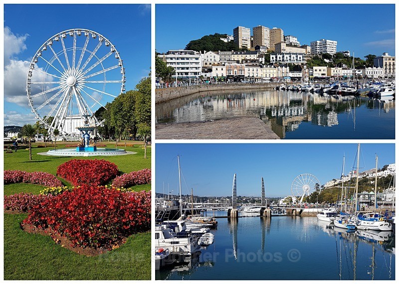 TQ177  Postcard views of Torquay Harbour and Princess Gardens