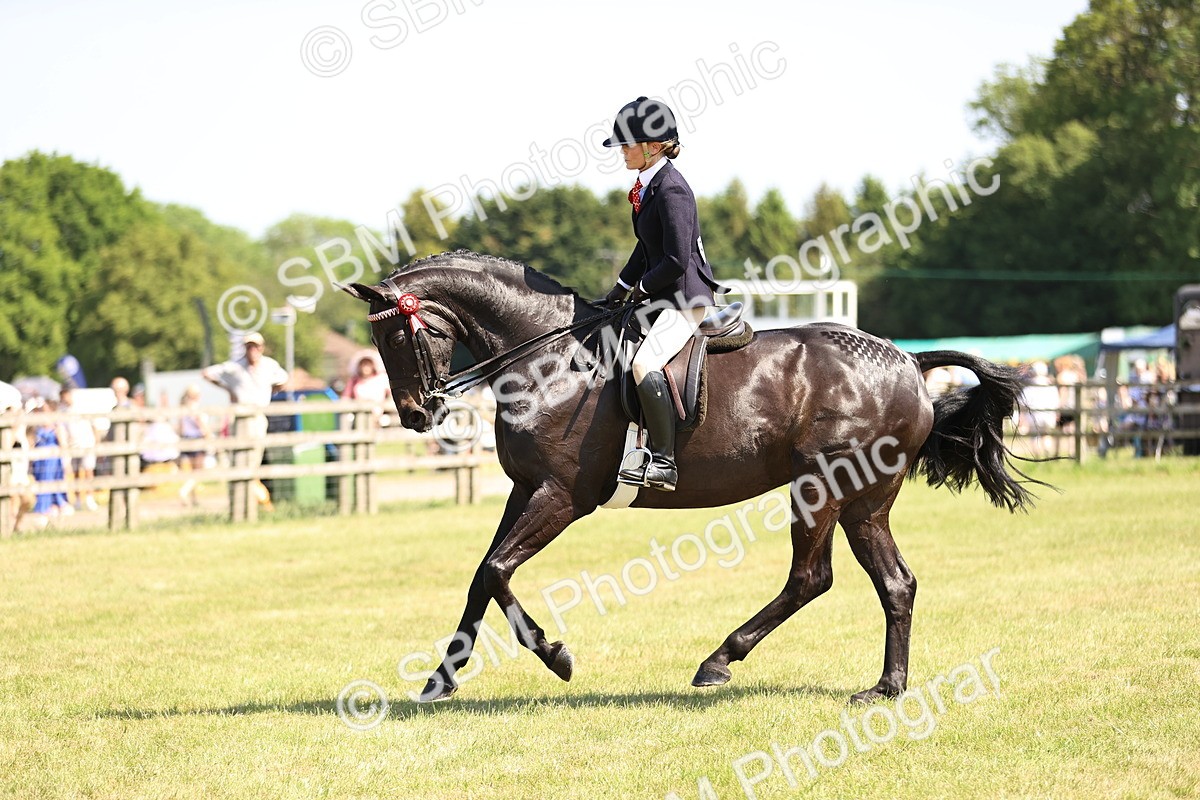 SBM_18035 - Class 81-83 - TSR Ridden Amateur of the Year - Horses