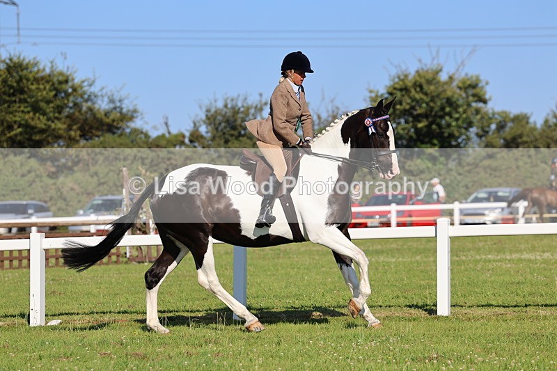 IMG_1364 - Class 27: Ridden Plaited Coloured Horse