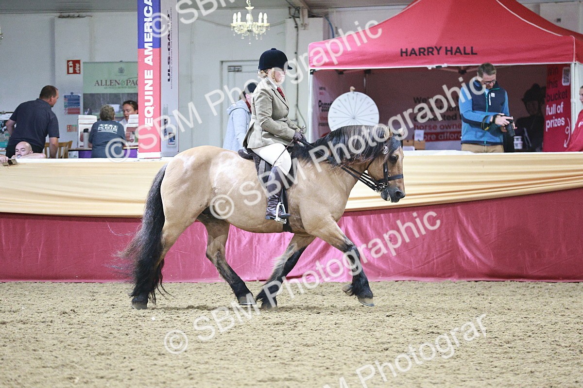 SBM_08118 - Class 11R - Regional Ridden Veteran