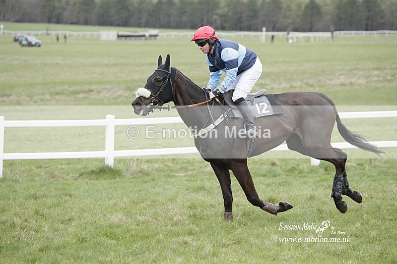 PtP 260323 0480 - New Forest Hounds Point-to-Point Larkhill 26/03/23