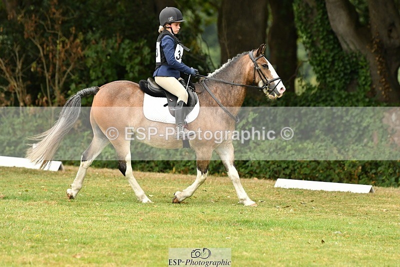 250820A-123629-05625 - 12 to 13.00