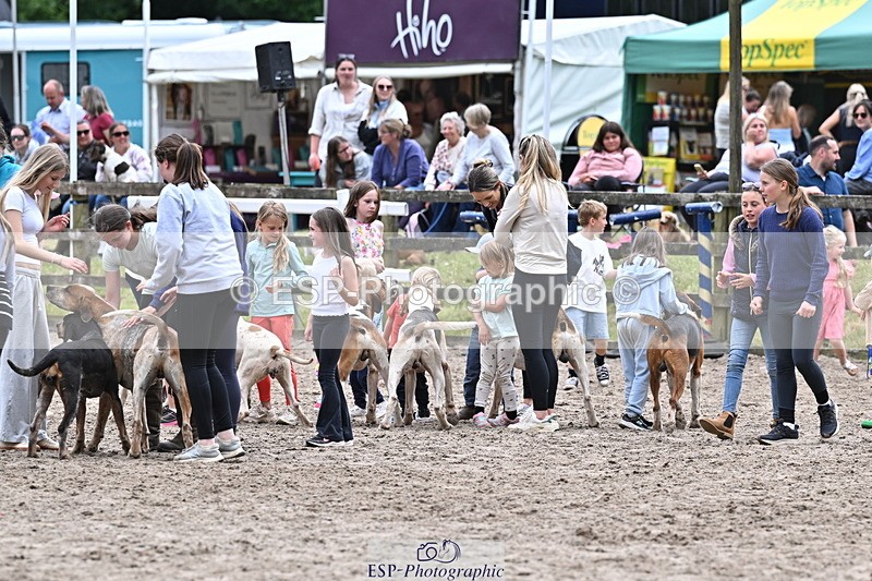 250524A-152435-12731 - East Devon Hounds