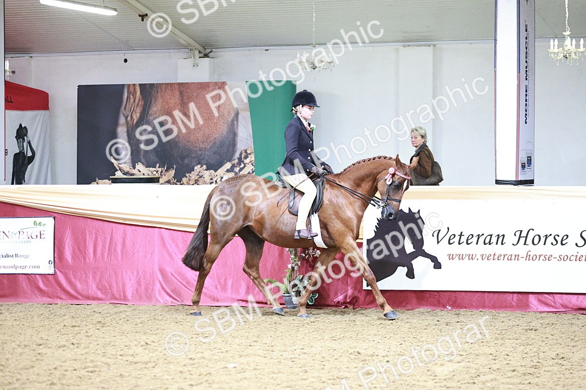 SBM_03463 - Class 6A Area Ridden Pre-Vet