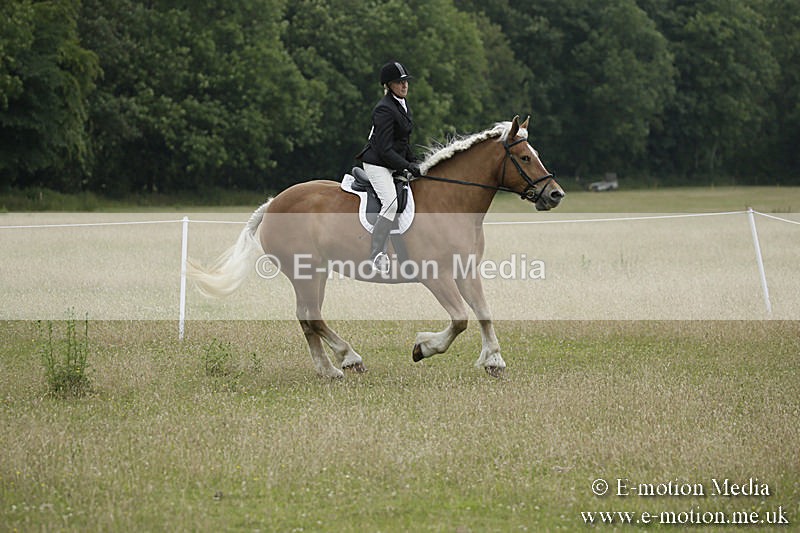 B230619-0935 - Bourne Valley Riding Club Summer Show 23/06/19