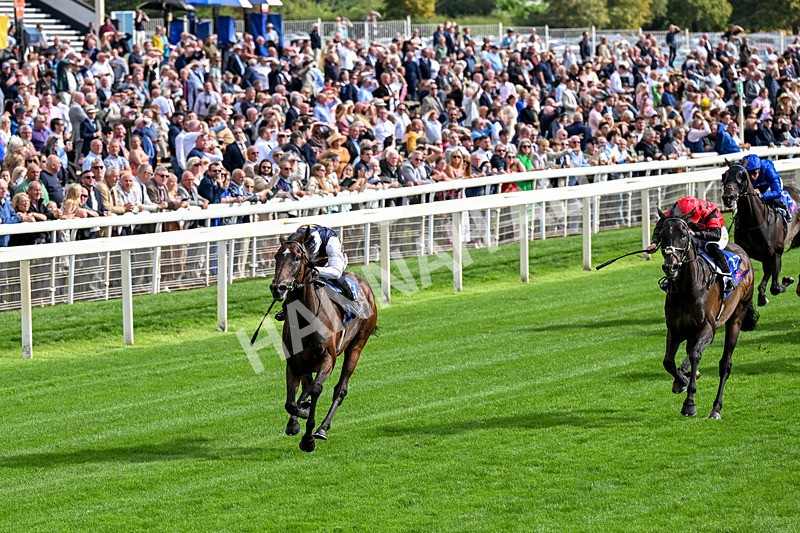 190826-Race 5-Small Fry-0641 - Race 5 16.10pm Sky Bet Stayers Handicap