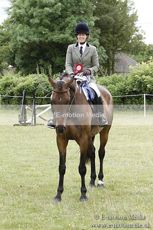 BVR160717-2311 - Working Hunter Championship 16/07/17