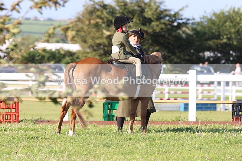 JPP_0702 - Class 16: Cornish Combination Leading Rein