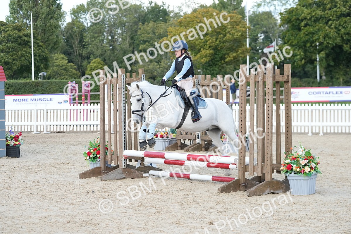 SBM_29173 - J43 - Horse & Hound Open 50cm