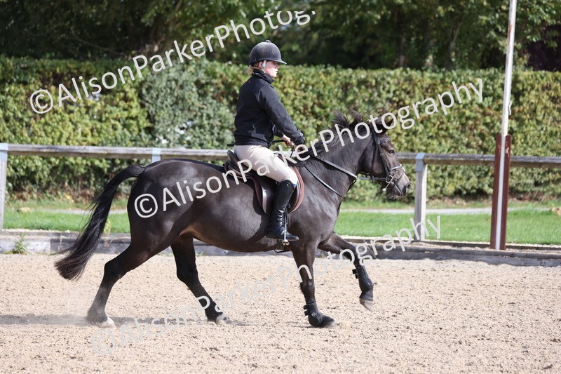 20251005-0400 - Class 3 - 60cm