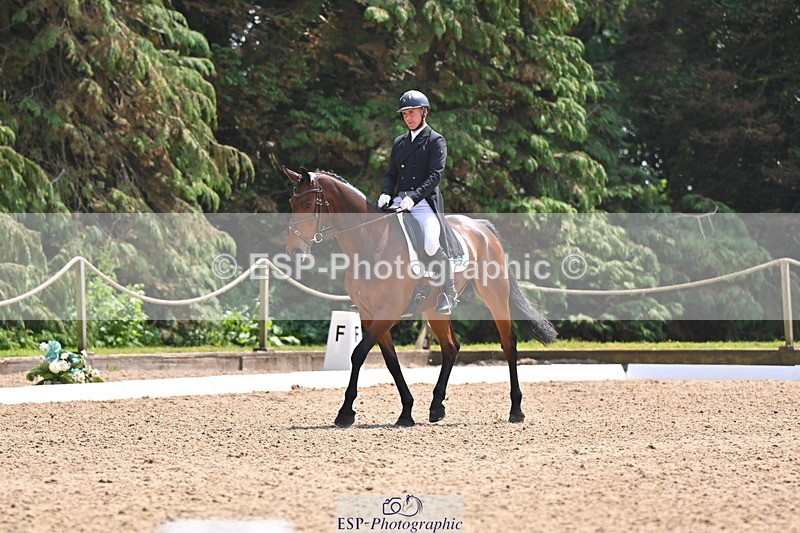 250523A-134505-07093 - B-355-Andrew.James-PRIMITIVE.PROPOSITION