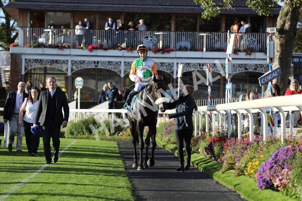 yr08102022r7-45 - Race 7 5.00pm The Coral Gets You Closer To The Action Stakes