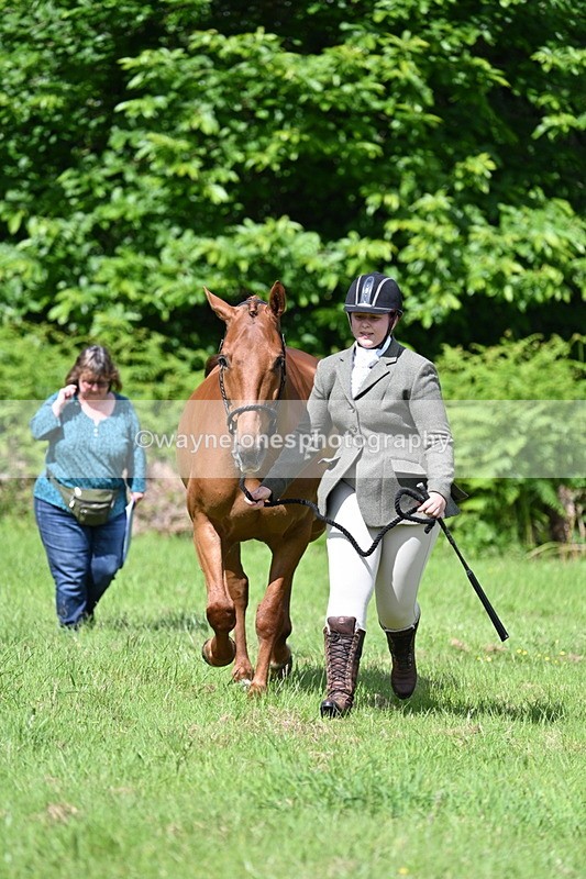 WJ7_1069 - Class 11 Condition & Turnout