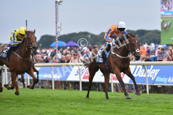 yr18082022r7-30 - Race 7 5.20pm British Stallion Studs EBF Fillies' Stakes