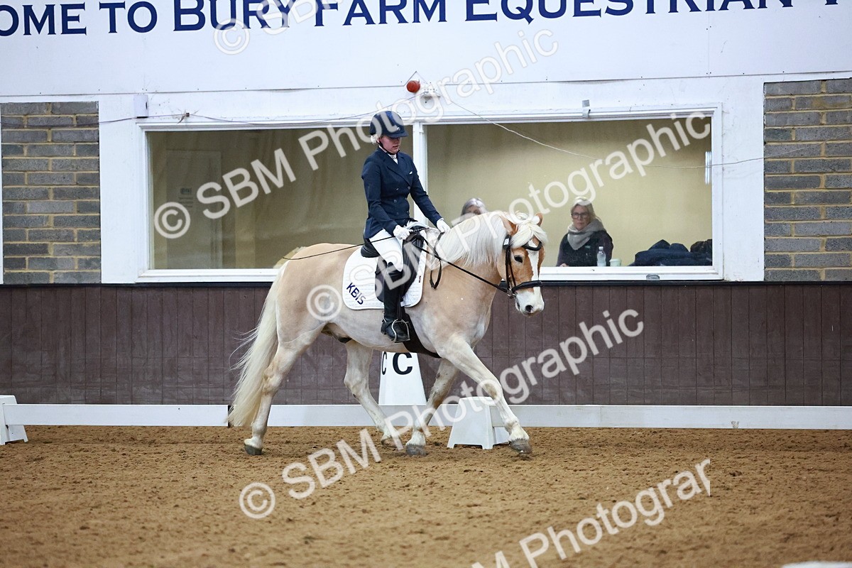 SBM_002907 - Novice Music