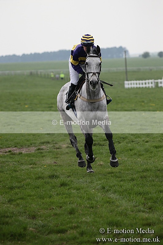 PtP 210418 246 - South & West Wilts Point-to-Point Larkhill 21/04/18