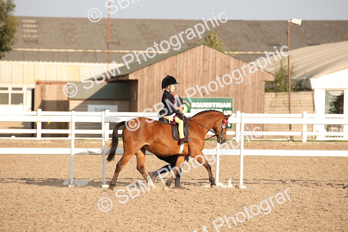 SBM_09227 - Regional Ridden Champ