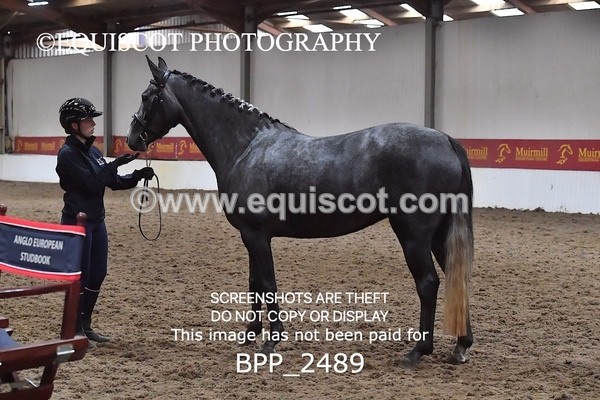 BPP_2489 - LOOSE JUMPING / SPSS