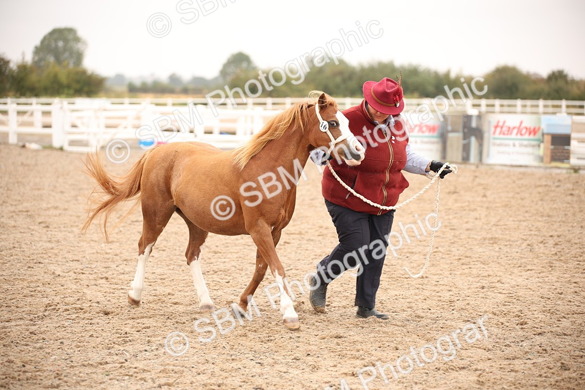 SBM_22161 - Class 707 - Ridden Groom-Helpers Class