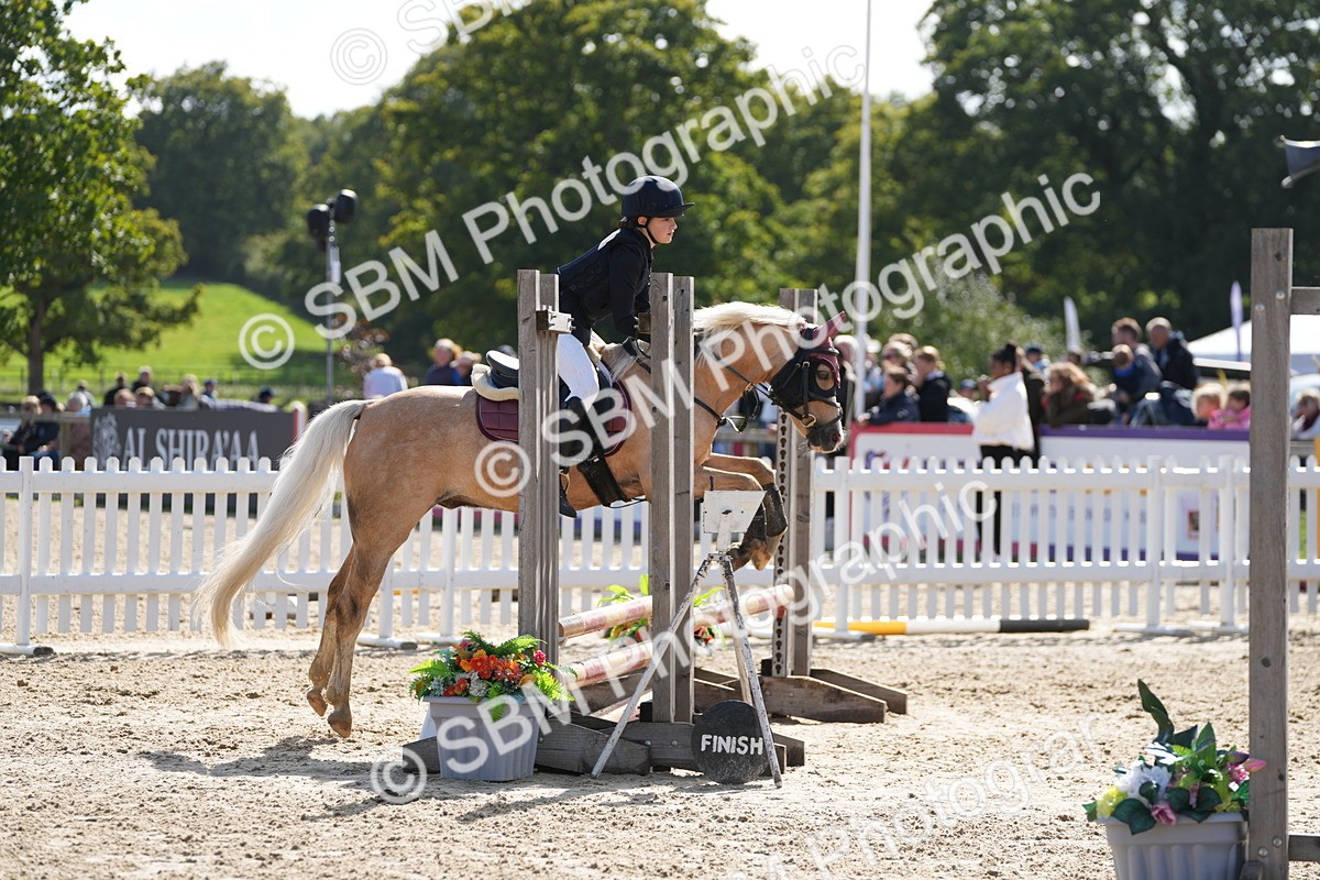 SBM_46668 - J7 - Junior Pony 60cm Championship
