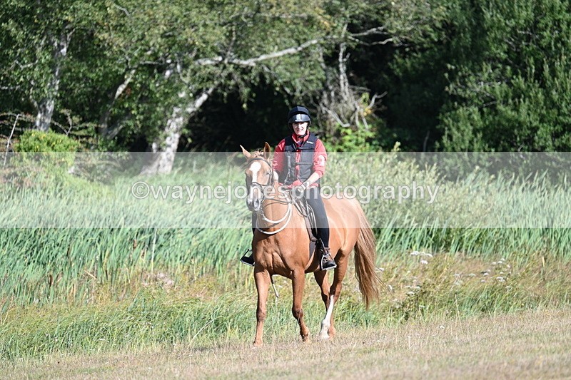 WJ7_3172 - Time 09:42 to 10:02