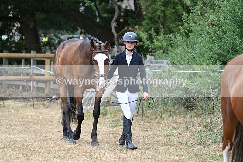 WJ7_8661 - Class 4a Prettiest Mare 14.2hh and over