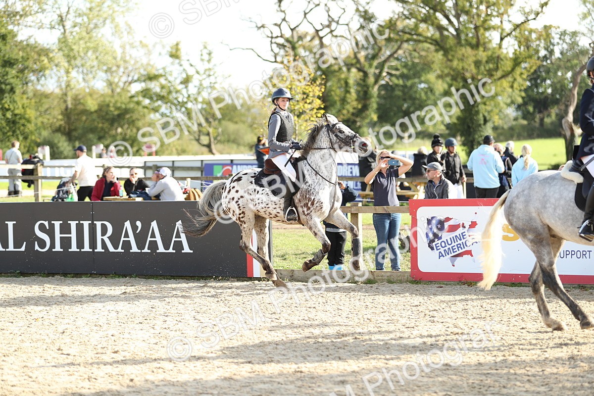 SBM_49691 - J22 - Junior Horse 65cm Championship