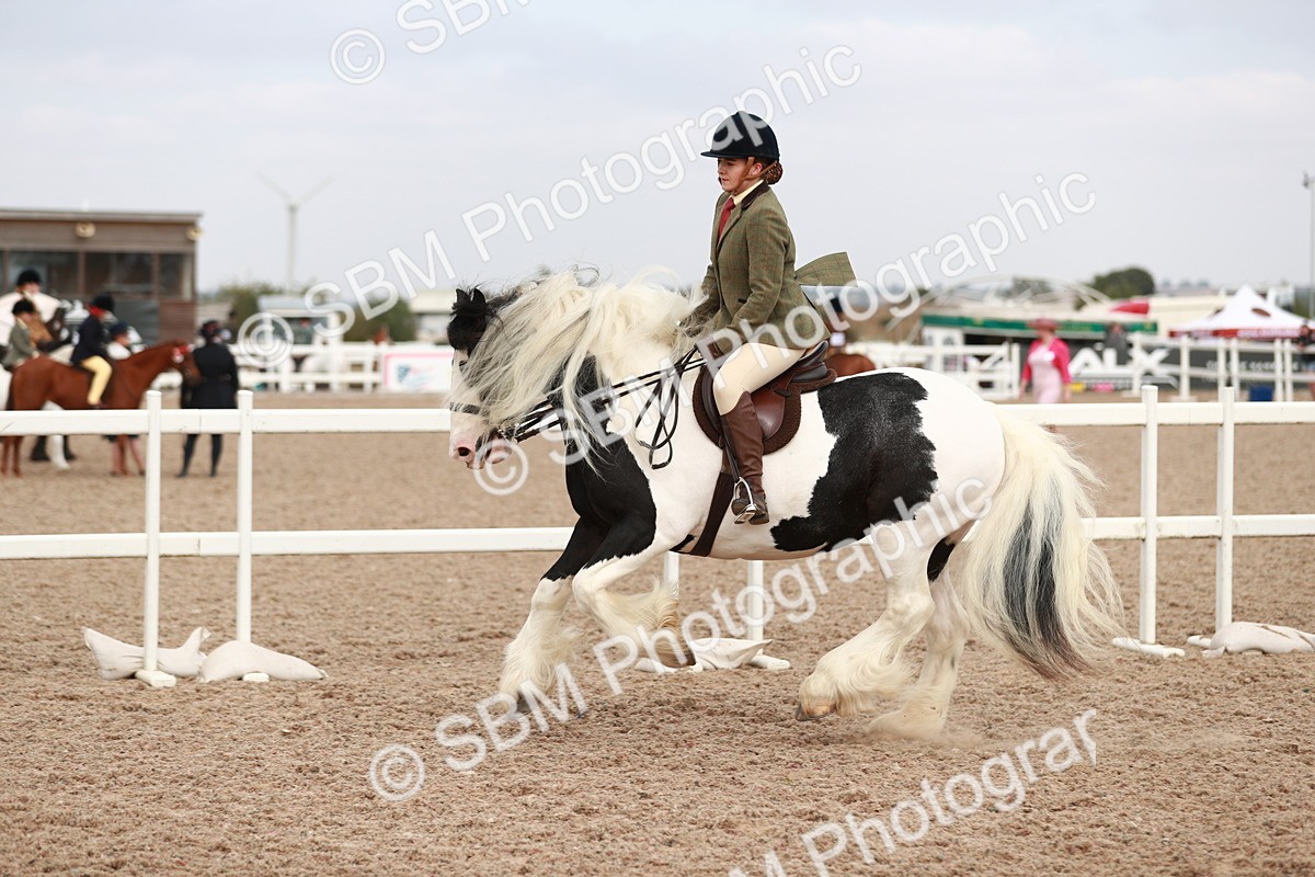 SBM_16692 - Class 214 Ridden Cob