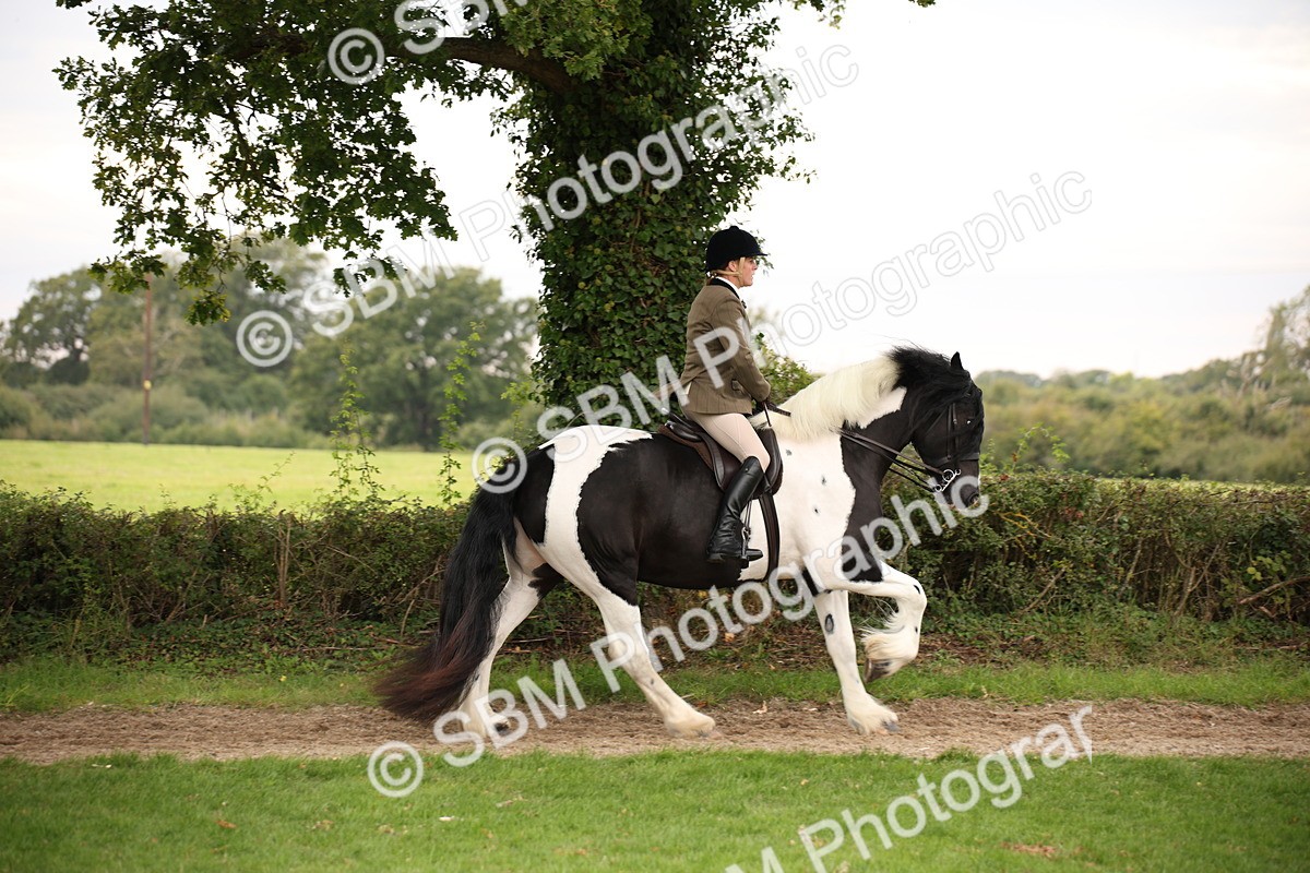SBM_73448 - S68 - Traditional Cob Ridden