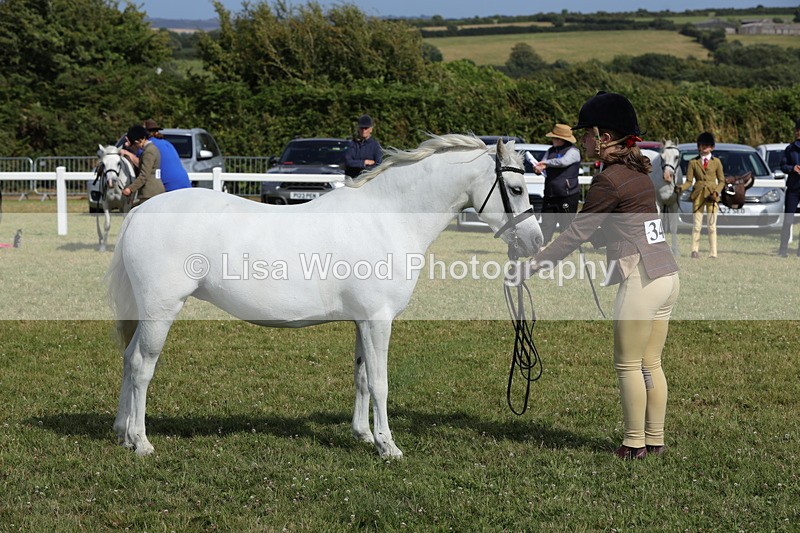 1X9A5801 - Class 40: NPS Welsh A & B