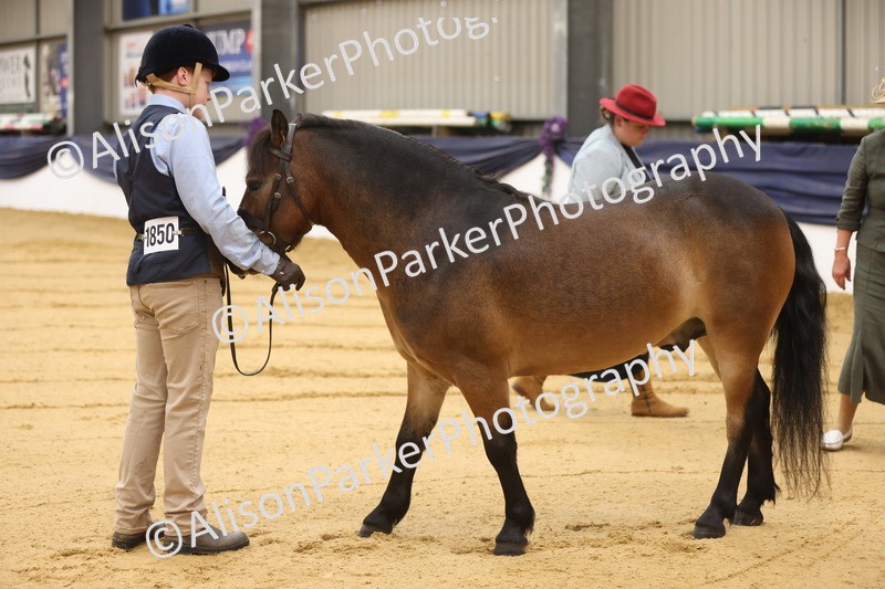 20260913-0070 - Class 121 - Young Handler 5-16
