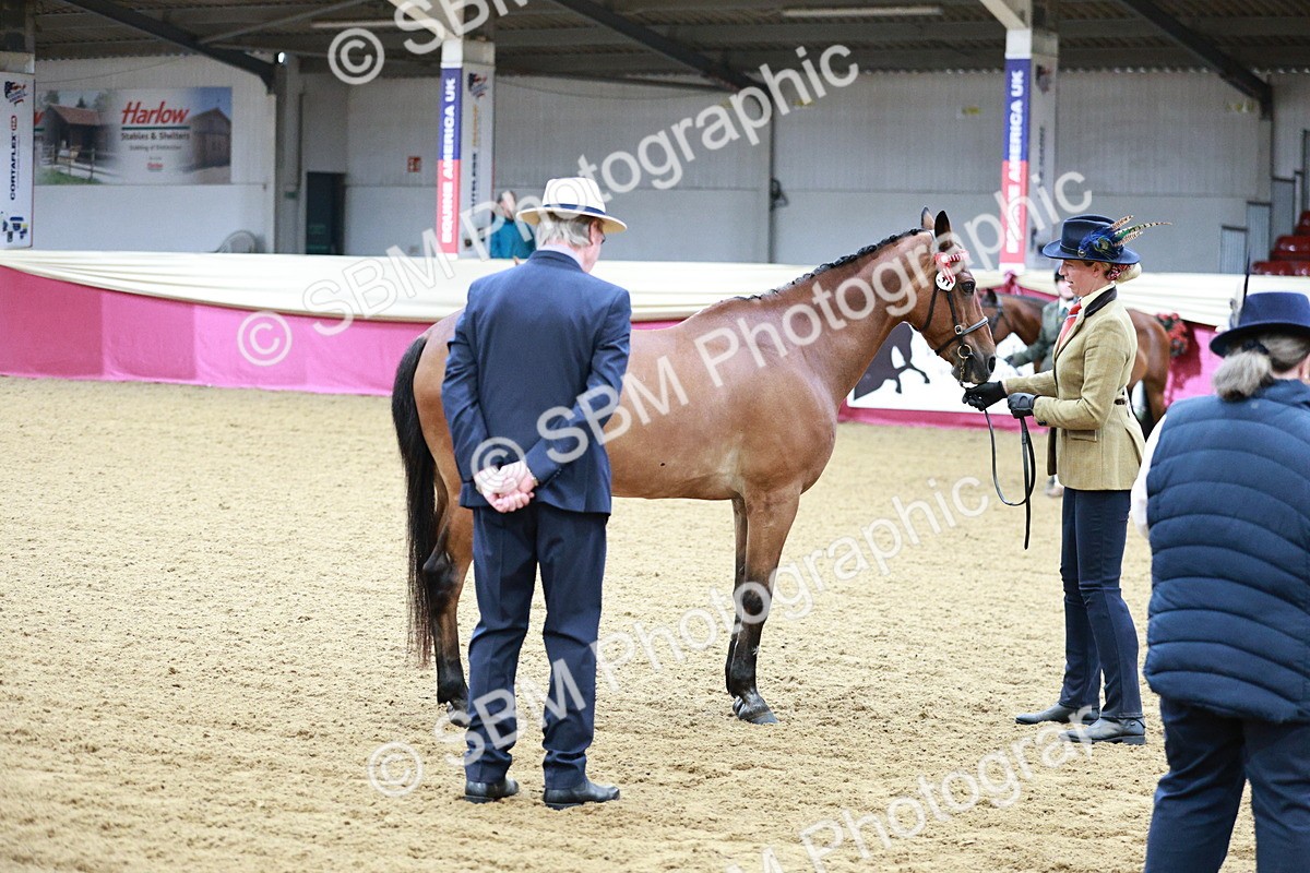 SBM_00234 - Class 1A - Area IH Diamond