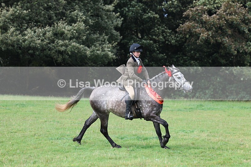 3E7A6198 - Working Hunter Championship