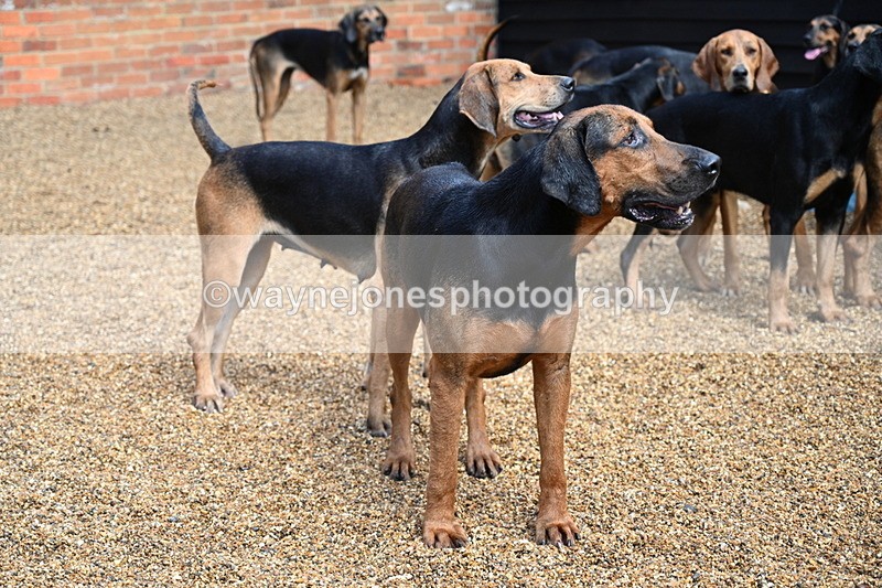 WJ7_7042 - Berks & Bucks at Blandy’s Farm 31-08-25