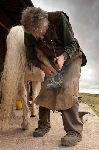 6 - The Farrier
