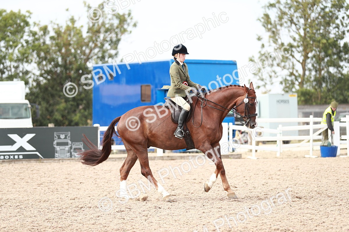 SBM_15554 - Class 213 Ridden Hunter -Large