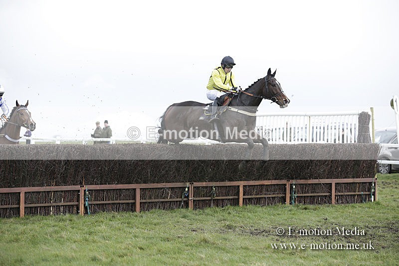 PtP 150320 0576 - New Forest Point-to-Point Larkhill 15/03/20